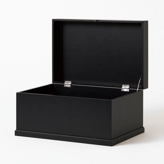Coffre de rangement en bois avec rangement, coloris noir